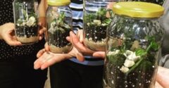 All You Need To Know The Importance Of Terrarium Workshop Singapore